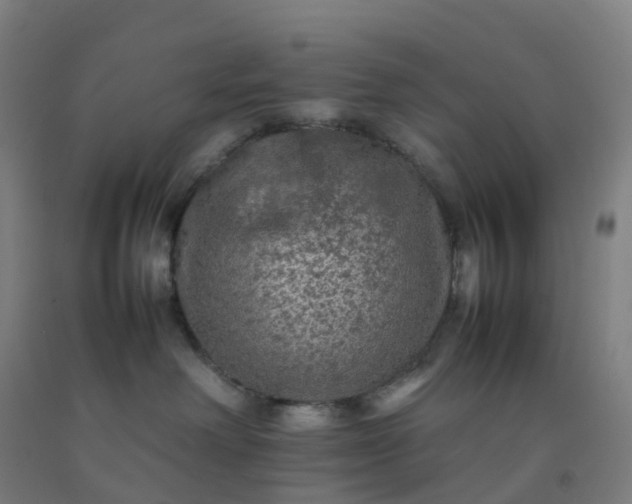 X0000092250238200709281150