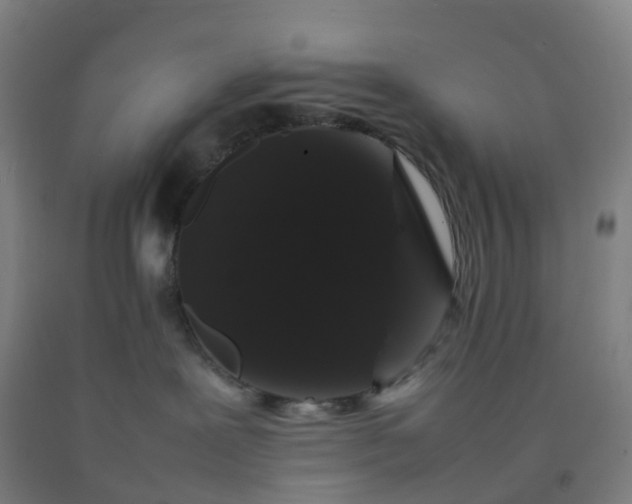 X0000092250239200709281150