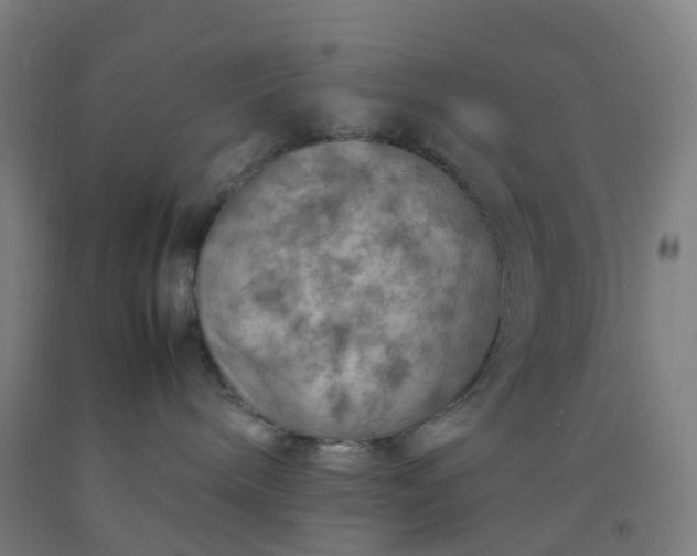 X0000092250240200709281150