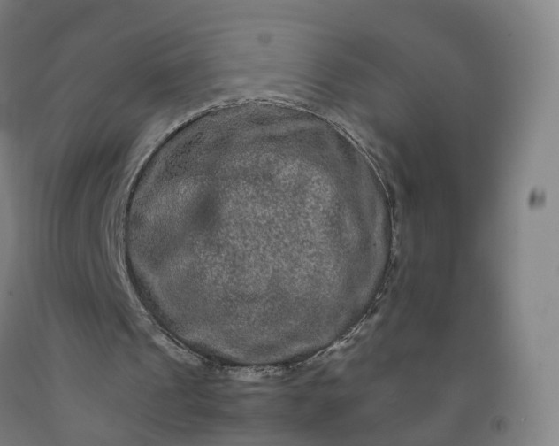 X0000092250241200709281149