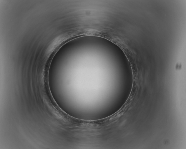 X0000092250242200709281149