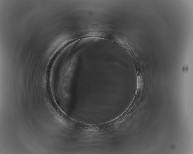 X0000092250243200709281149