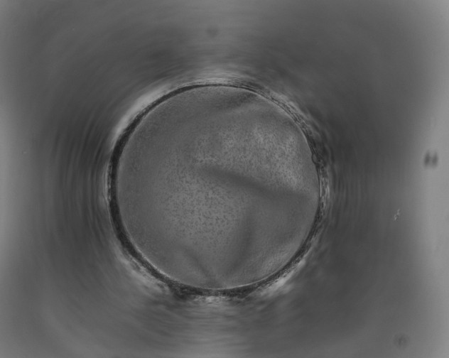 X0000092250244200709281149