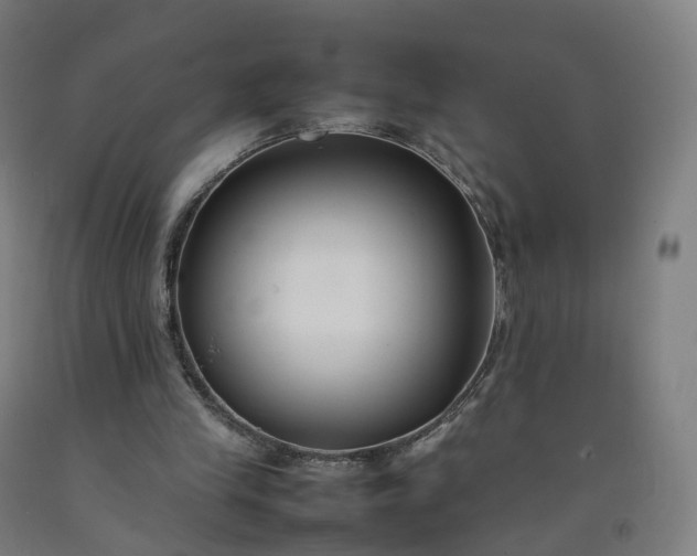 X0000092250245200709281149