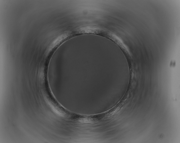 X0000092250250200709281149