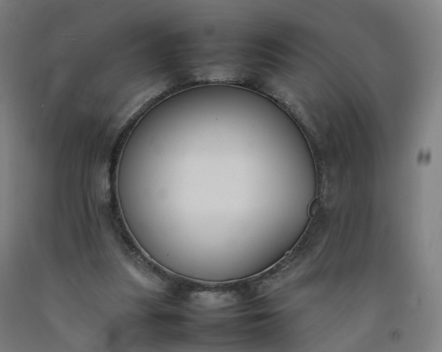 X0000092250251200709281149