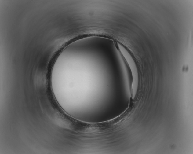 X0000092250252200709281149