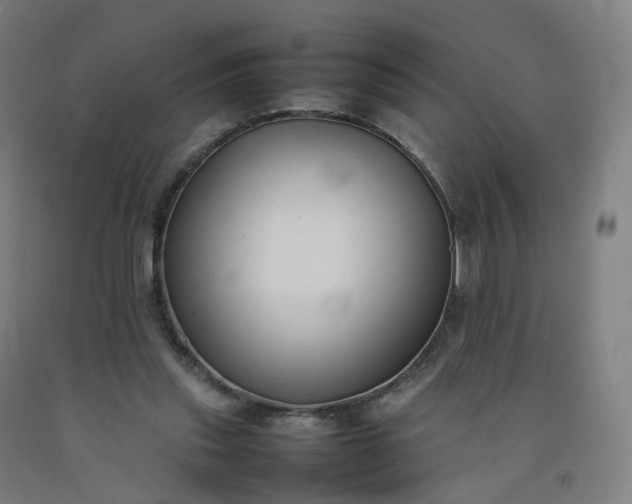 X0000092250253200709281149