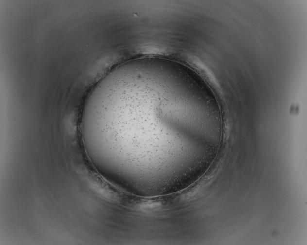 X0000092250257200709281149