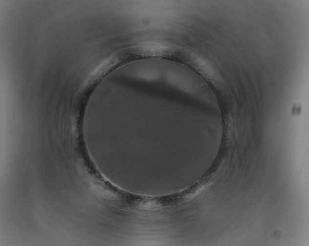 X0000092250258200709281149