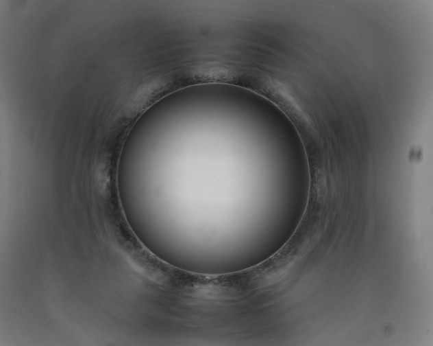 X0000092250259200709281149