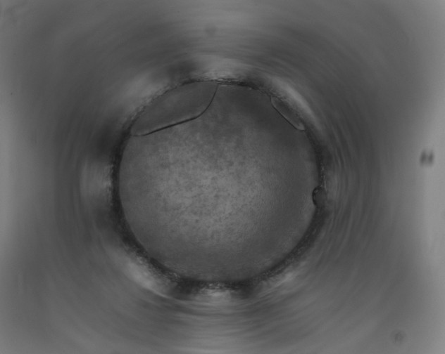 X0000092250260200709281149