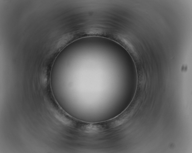 X0000092250261200709281149