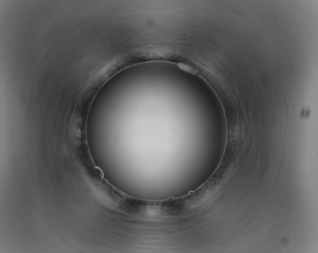 X0000092250264200709281149