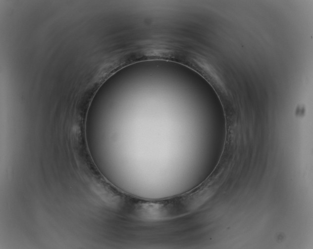 X0000092250265200709281149