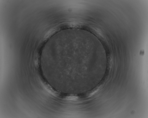 X0000092250266200709281149