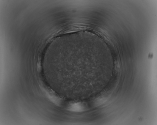 X0000092250267200709281149