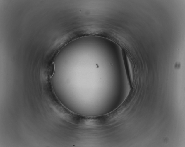 X0000092250268200709281150