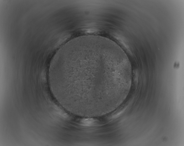 X0000092250269200709281150