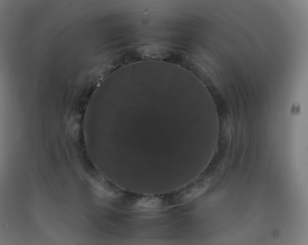 X0000092250271200709281150