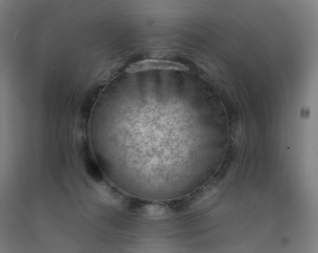 X0000092250272200709281150