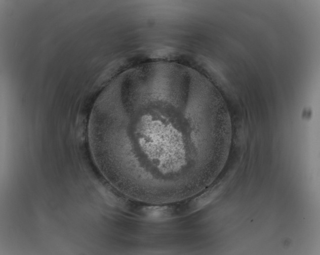 X0000092250273200709281150