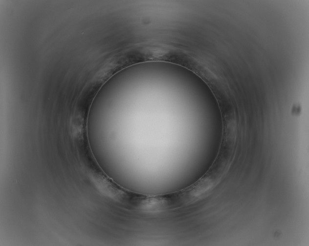 X0000092250274200709281150