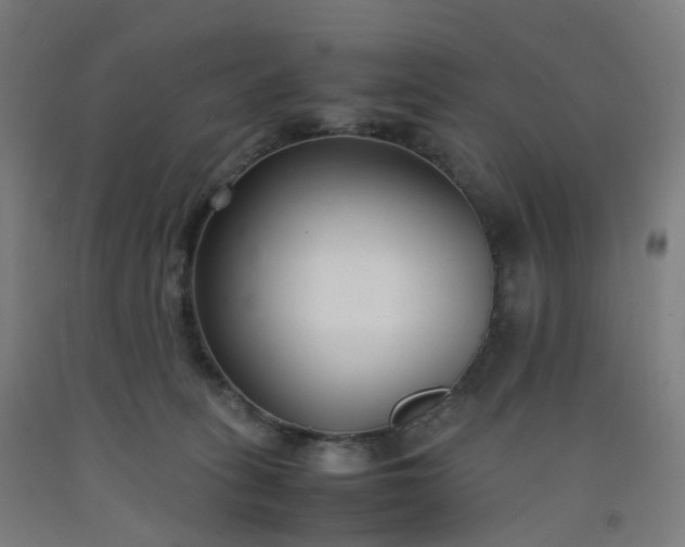 X0000092250275200709281150