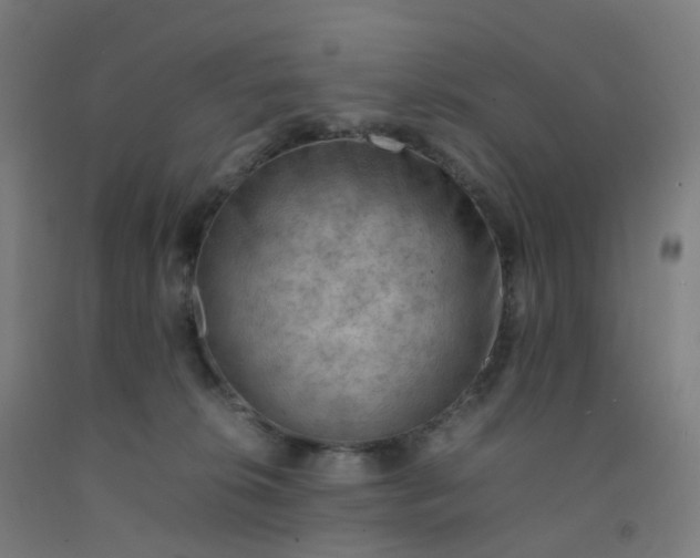 X0000092250276200709281150