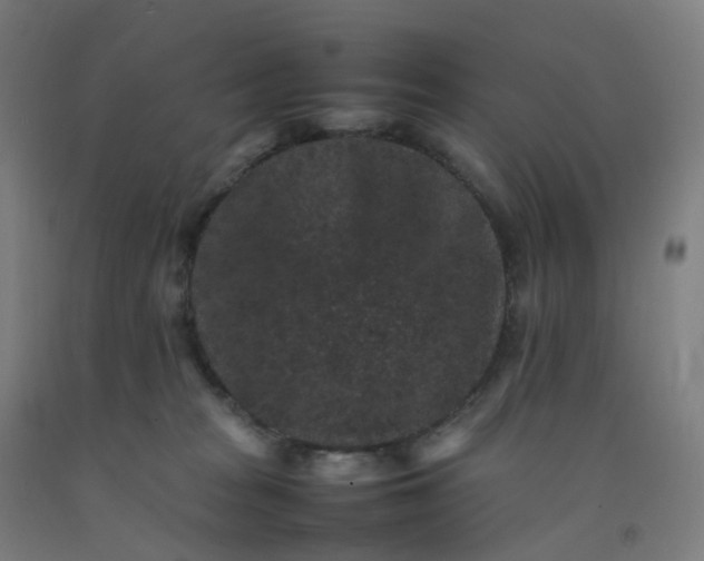 X0000092250277200709281150