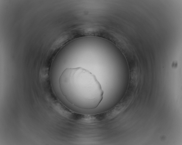 X0000092250278200709281150