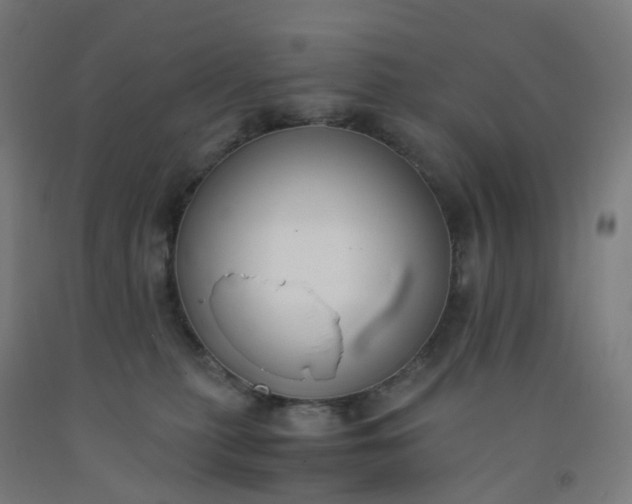 X0000092250279200709281150