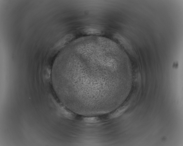 X0000092250281200709281150