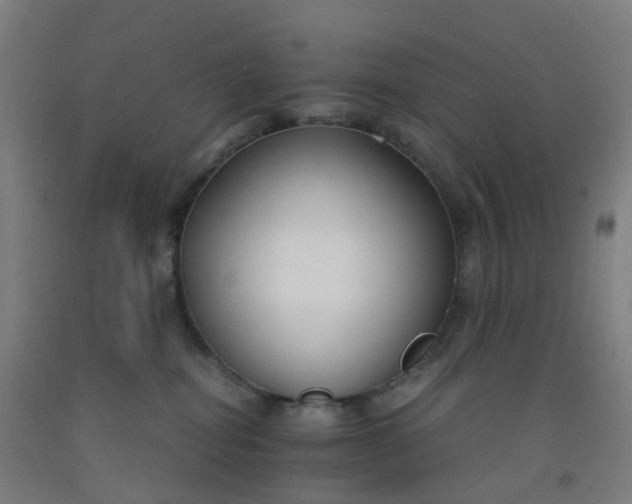 X0000092250282200709281150