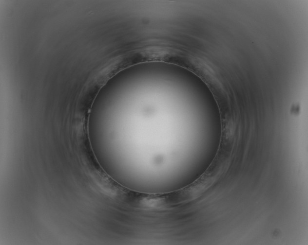 X0000092250283200709281150