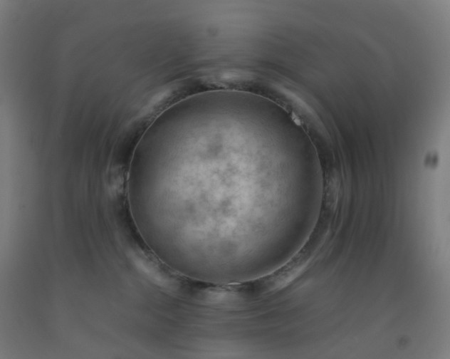 X0000092250284200709281150