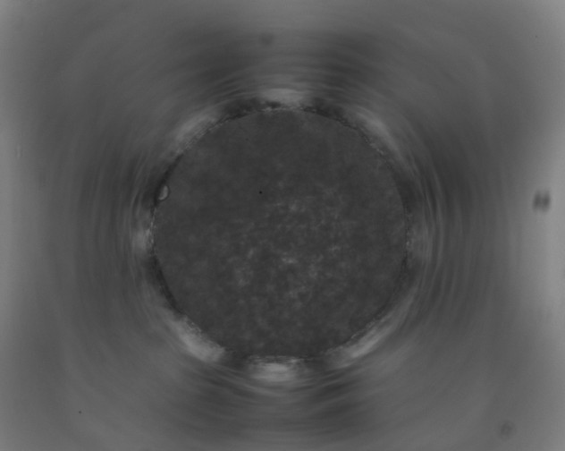 X0000092250285200709281150