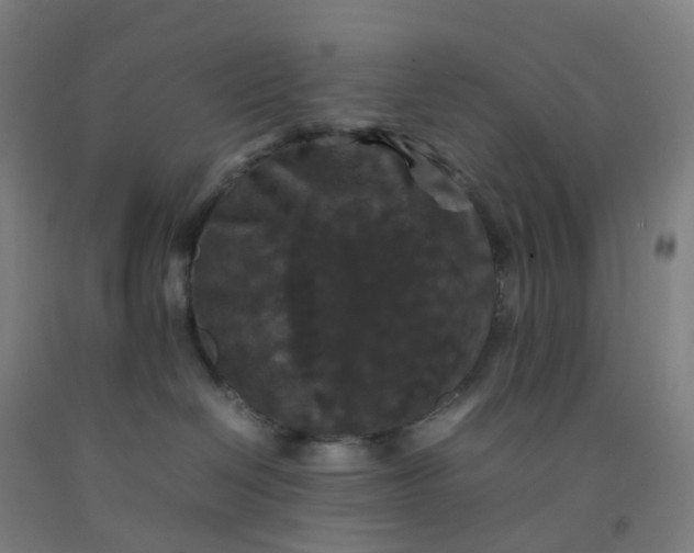 X0000092250286200709281150