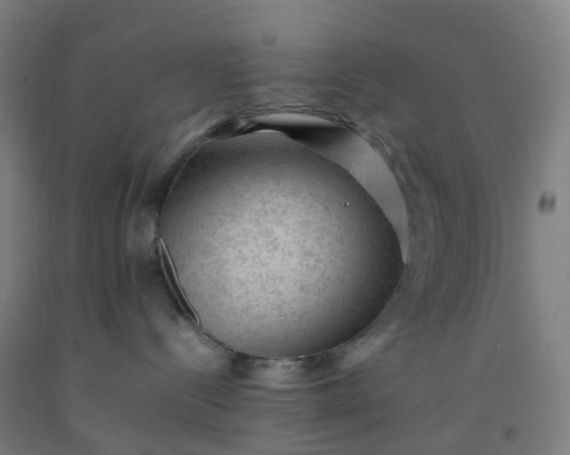 X0000092250288200709281150