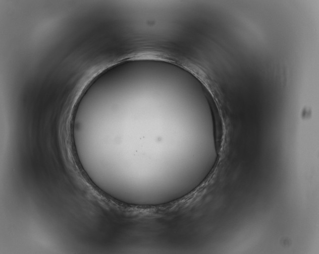 X0000092250289200709281149