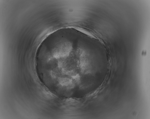 X0000092250290200709281149