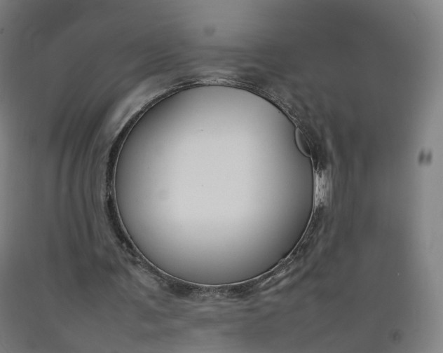 X0000092250291200709281149