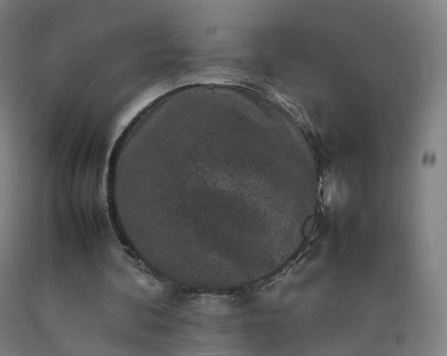 X0000092250292200709281149