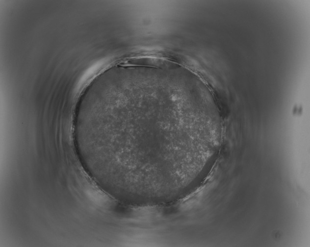 X0000092250293200709281149