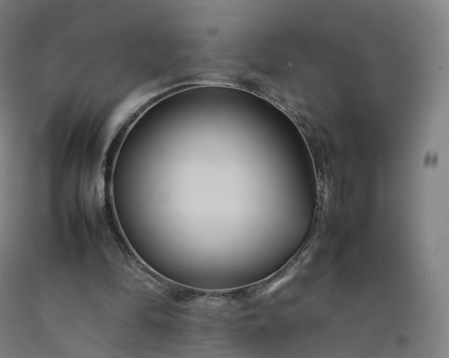 X0000092250294200709281149