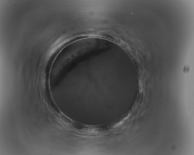 X0000092250295200709281149