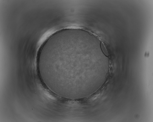 X0000092250296200709281149