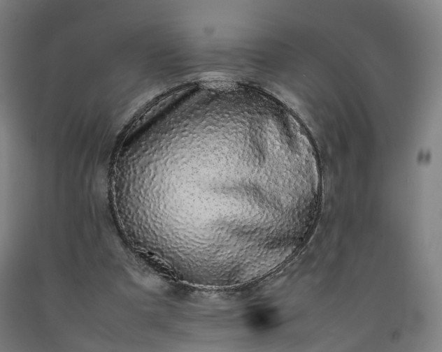 X0000092250297200709281149