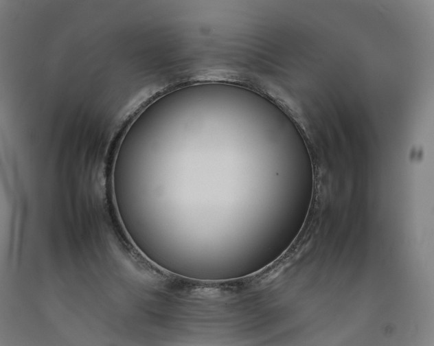 X0000092250298200709281149