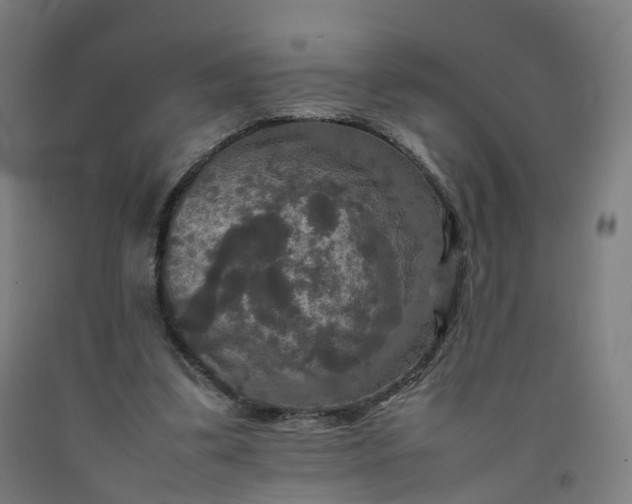 X0000092250299200709281149